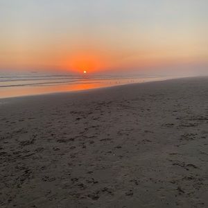 Meet your Posher, Joanne